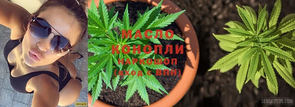 мдпв Верхний Тагил