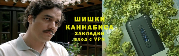 мдпв Верхний Тагил