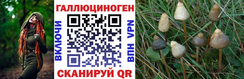 Псилоцибиновые грибы Magic Shrooms  KRAKEN вход  Сретенск 